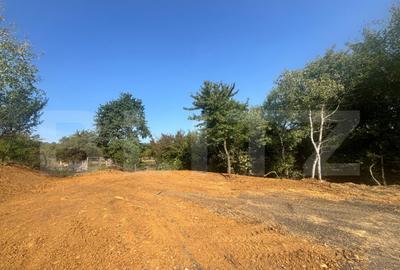 Teren de vanzare in Viisoara - 1