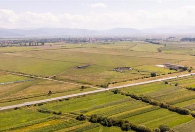 Teren extravilan Lunca Calnicului langa E574 - 15