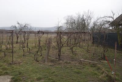 Casă individuală cu 3 camere cu Teren 813 Mp în Grădiștea - 4