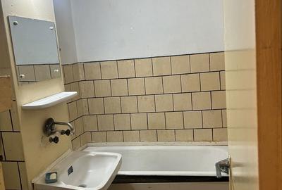 Garsonieră semidecomandată în Valea Rosie - 2