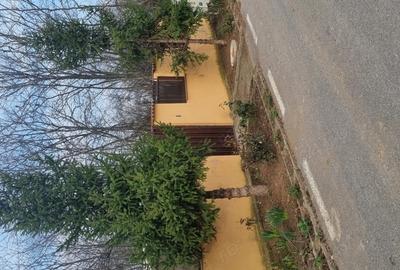 Proprietate de vinzare - 2