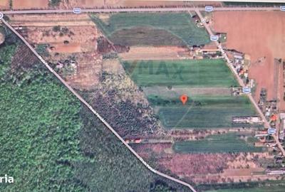 Spațiu comercial, în Ciolpani - 3