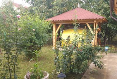 Casă cu 7 camere în Cetate - 4