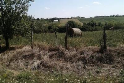 RECO, Teren intravilan, loc de casa in Pausa, Nojorid