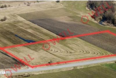 Teren de 15000 mp, în Bățani - 1