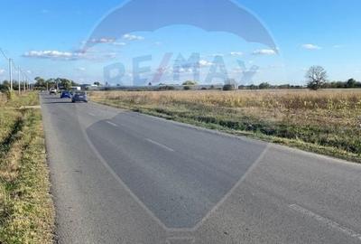 Teren Construcții intravilan de 7000 mp, în Stoenești (Florești-Stoenești) - 9