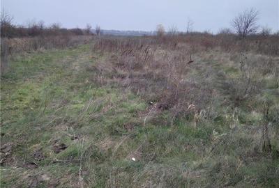 Teren de 10000 mp, în Afumați - 1