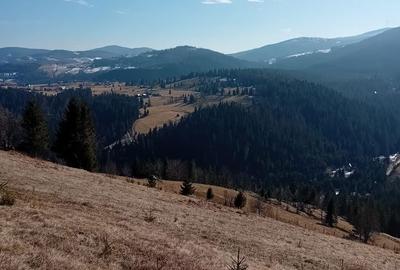 Teren de 1000 mp, în Arieșeni - 2