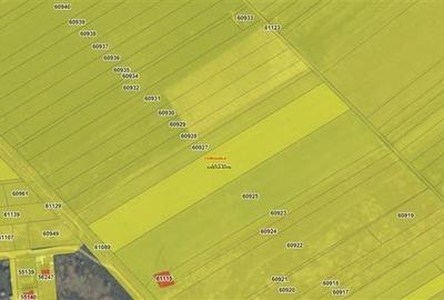 Teren intravilan, 12000 mp, Ciorogarla, jud. Ilfov - 1