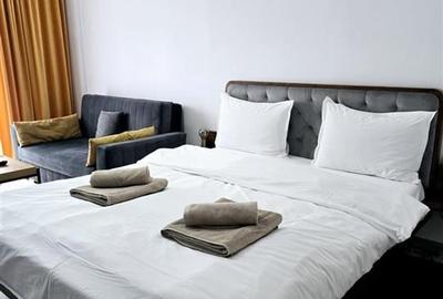 Studio Modern - Zona Tractorul - Brasov - 2