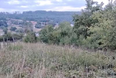 Casă cu 4 camere în Dărmănești