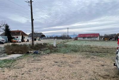 Vand Casa ?i Teren in Raturile Medie?ului - 1