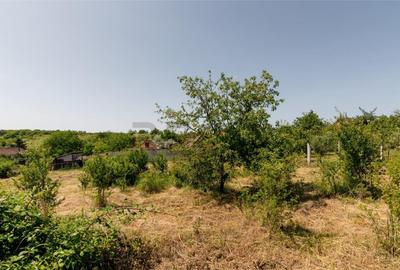 Teren de 1200 mp, în Paleu