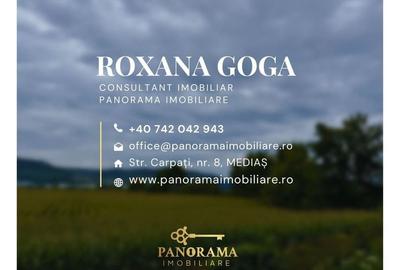 Teren intravilan de vânzare - zonă cu potențial ridicat de dezvoltare. - 4