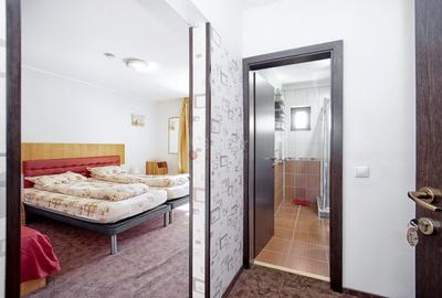 Pensiune Turistica Montana - 33