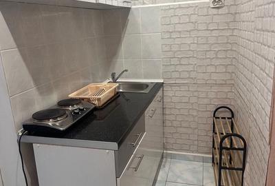 Garsonieră semidecomandată în Buziașului - 4