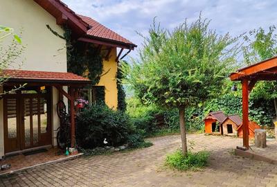 Casă cu 4 camere cu Teren 350 Mp în Baciu - 4