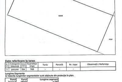 Casă cu 4 camere cu Teren 760 Mp în Turnișor - 4