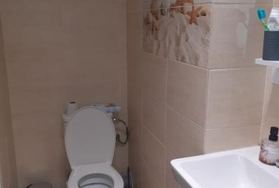 Garsonieră semidecomandată în Lunca Cetățuii - 9