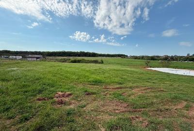 Teren intraan chisirid - 3