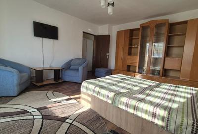 Garsonieră decomandată în Timocului-Șaguna - 4