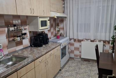 COLENTINA RAU, MAIOR BACILA IN PLAN SECUND, PARCUL PLUMBUITA LA 5MIN. - 1