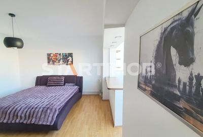 Garsoniera zona Judetean-Parcul Trandafirilor - 28