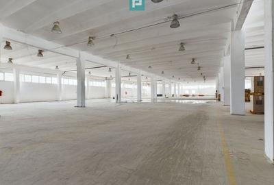 Spatii depozitare clasa A, zona Bucuresti Sud - Jilava - 4