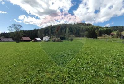 Teren agricol extravilan de 14318 mp, în Panaci - 5