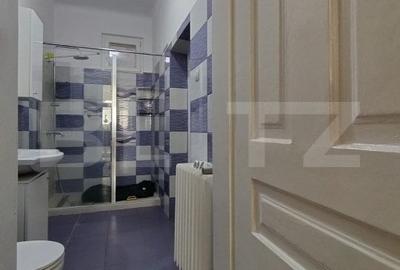 Casa istorica, 2 apartamnte, curte proprie- posibilitati multiple, zona Balcescu - 7