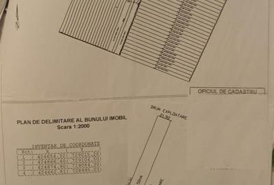 Teren intravilan de 5000 mp, în Centură - 1