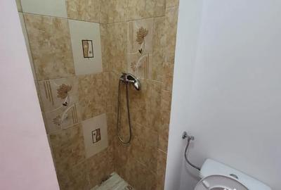 Garsonieră semidecomandată în Titan - 7