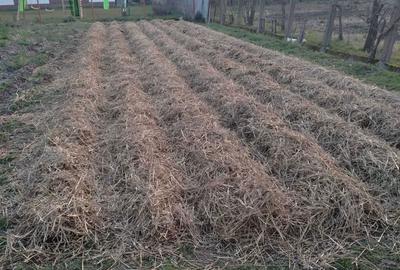 Casă cu 4 camere în Petid - 3