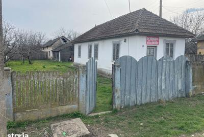 Casă cu 3 camere cu Teren 1387 Mp în Bistreț - 1