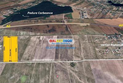 Teren Construcții intravilan de 25000 mp, în Corbeanca - 5
