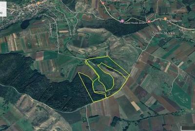 Vand teren 40 ha Mociu jud Cluj - 1