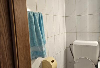 Apartament cu 3 camere semidecomandat în Ozana - 13