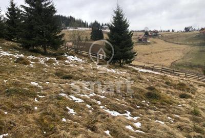 Teren Construcții extravilan de 2406 mp, în Mărișel - 2