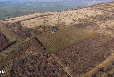 Spațiu comercial, în Covăsinț - 18