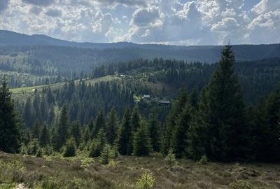 Spațiu comercial, în Poiana Horea - 8