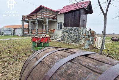 Casă cu Teren 6000 Mp în Sălbăgelu Nou - 20