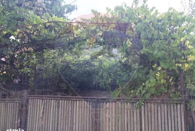 Casă cu 2 camere în Central - 4