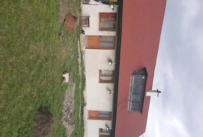 Casă cu 3 camere în Tulgheș - 6