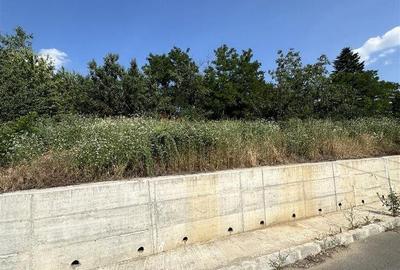 Casă cu 2 camere cu Teren 732 Mp în Central - 2