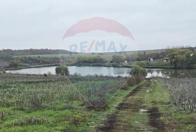 Teren extravilan de 129700 mp, în Iepurești - 2