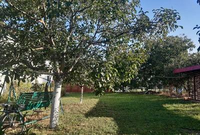 Casa de vanzare cu teren intravilan in Beregsaul Mic, jude?ul Timi? - 7