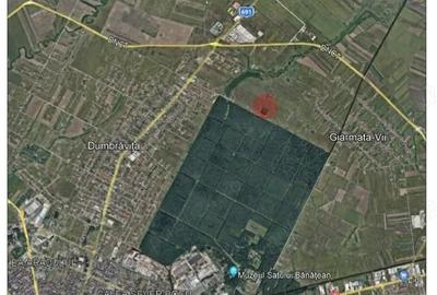 Proprietar, la 60ml de liziera padurii verzi in Dumbravita, vand duplexuri cu suprafata de 253 mp