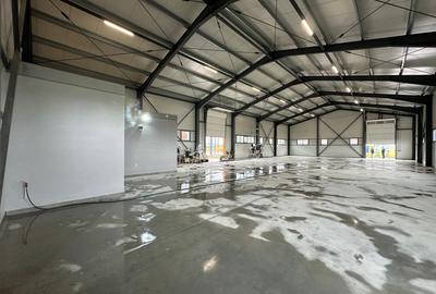 Hale noi de inchiriat –583/1166mp– Letcani, zona industrială activă | Showroom - 6