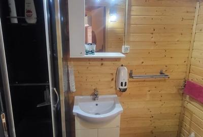 Casa moderna de vanzare Valul lui Traian - 18