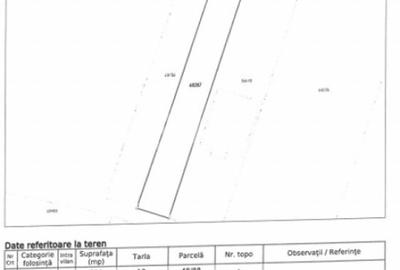 Teren de 1000 mp, în Ștefăneștii de Jos - 2